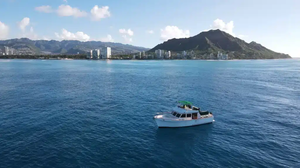 Snorkel Cruise at Turtle Canyon